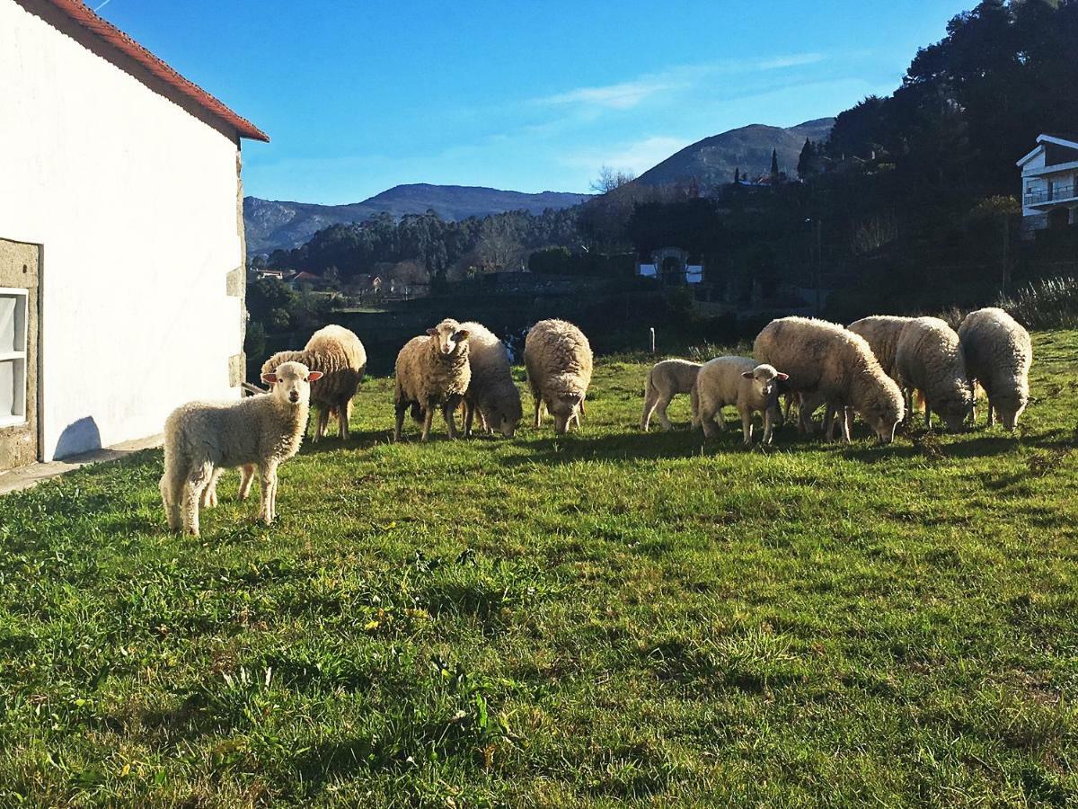 בית הארחה וילה נובה דה סרביירה 	Casas Da Loureira - Casa Do Pote מראה חיצוני תמונה