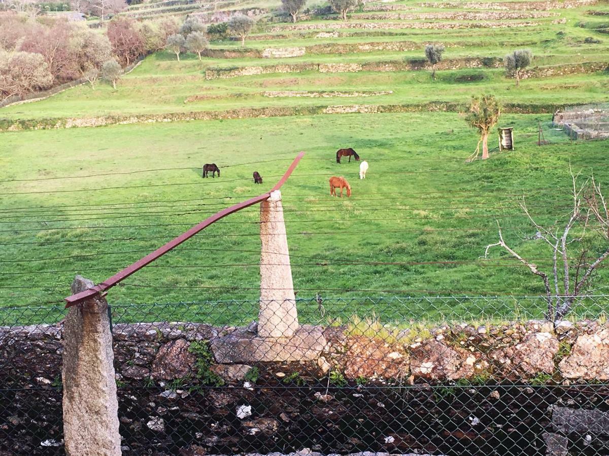 בית הארחה וילה נובה דה סרביירה 	Casas Da Loureira - Casa Do Pote מראה חיצוני תמונה